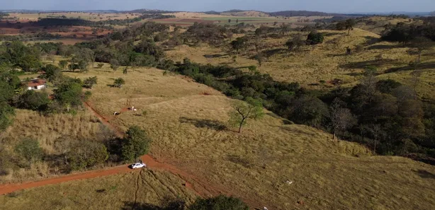 Fazenda / Sítio / Chácara à venda, 76326m² no , Nerópolis