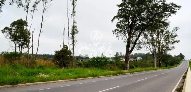 Terreno / Lote / Condomínio à venda, 171000m² no Pé de Plátano, Santa Maria