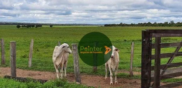 Fazenda / Sítio / Chácara à venda, 173707600m² no Presidente Kennedy, Presidente Kennedy