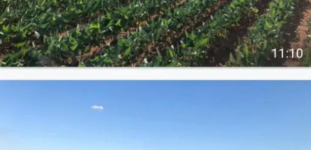 Fazenda / Sítio / Chácara à venda, 10575400m² no , Rio Sono