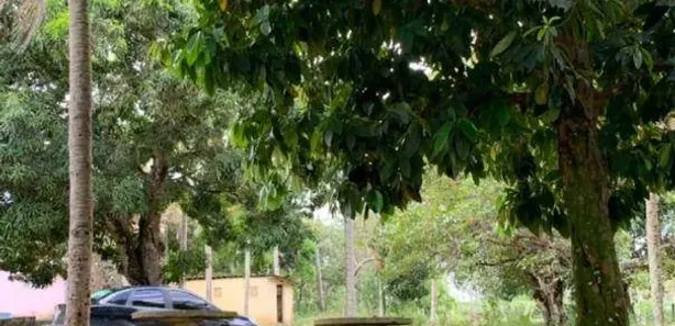 Fazenda / Sítio / Chácara com 2 Quartos à venda, 100m² no , Alhandra