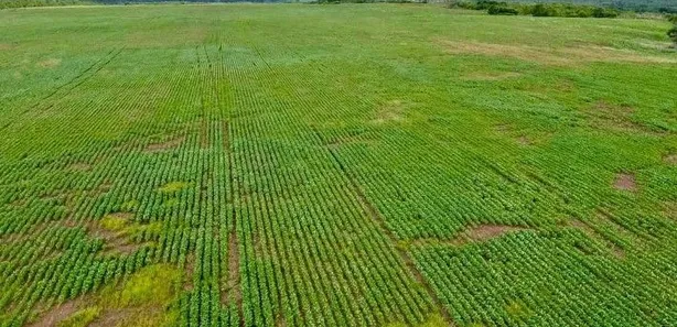 Fazenda / Sítio / Chácara à venda, 21500000m² no Centro, Paraíso do Tocantins