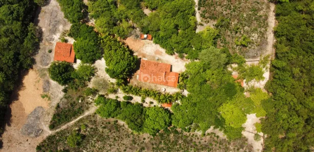 Fazenda / Sítio / Chácara à venda, 11000m² no , Campo Maior