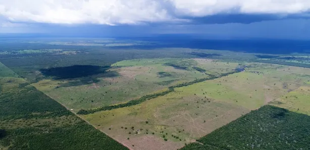 Fazenda / Sítio / Chácara à venda, 1388m² no Setor Central, Lagoa da Confusão