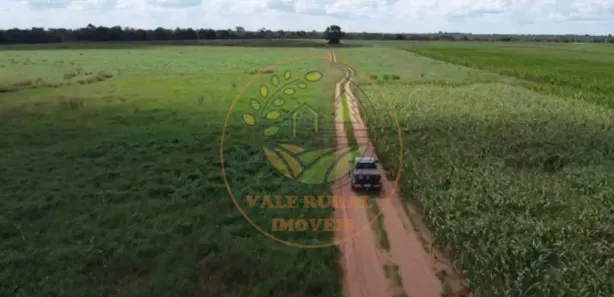 Fazenda / Sítio / Chácara com 4 Quartos à venda, 672m² no Centro, Paraíso do Tocantins