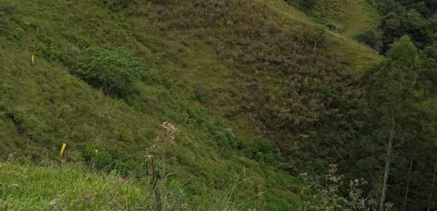Fazenda / Sítio / Chácara à venda, 16940000m² no , Rio Branco do Sul
