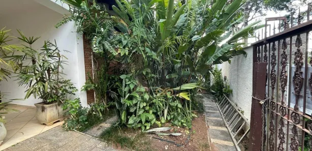 Conjunto Comercial / Sala para alugar, 115m² no Jardim Holanda, Holambra