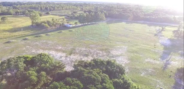 Terreno / Lote / Condomínio à venda, 150000m² no , Prado