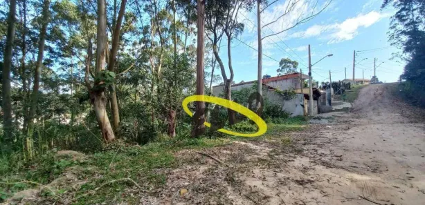 Terreno / Lote / Condomínio à venda, 8800m² no Centro (Caucaia do Alto), Cotia