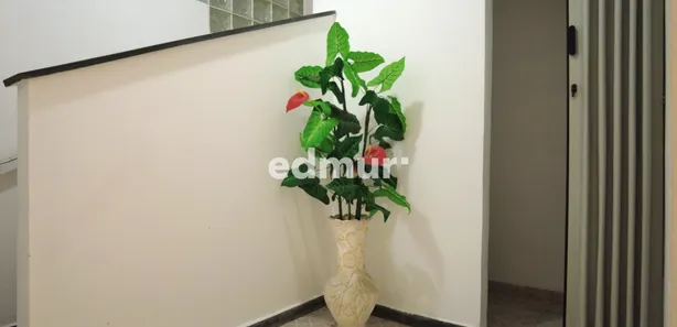 com 1 Quarto para alugar, 248m² no Vila Assunção, Santo André