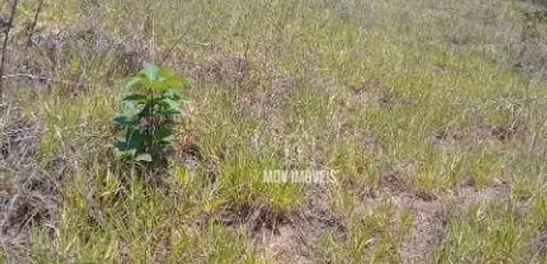 Terreno / Lote / Condomínio à venda, 360m² no São Damião, Vespasiano