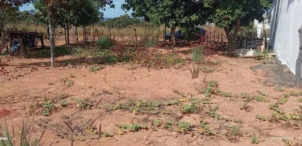 Terreno / Lote / Condomínio à venda, 1000m² no Setor Lagoa Quente, Caldas Novas