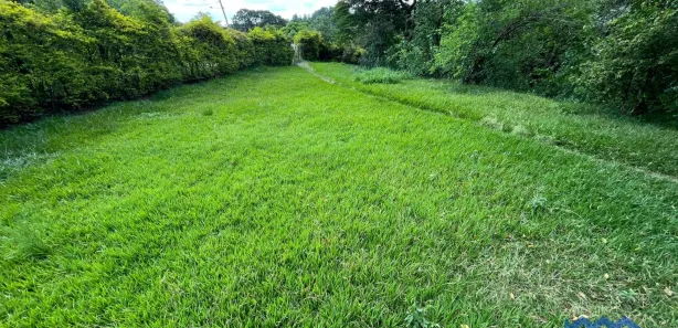 Fazenda / Sítio / Chácara com 5 Quartos à venda, 6000m² no , Alumínio