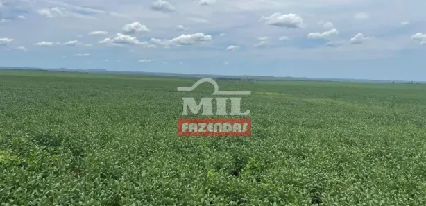 Fazenda / Sítio / Chácara à venda, 20000m² no , Pedro Afonso