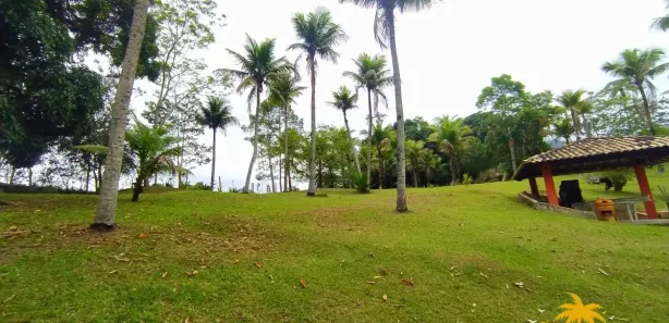 Fazenda / Sítio / Chácara com 3 Quartos à venda, 350m² no Retiro (Bacaxá), Saquarema