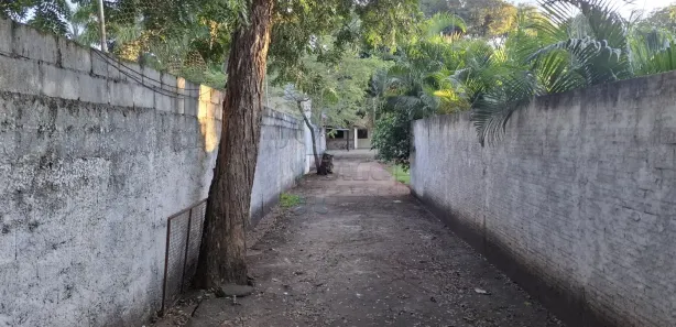 Fazenda / Sítio / Chácara com 3 Quartos para alugar, 800m² no Itanhangá Chácaras de Recreio, Ribeirão Preto