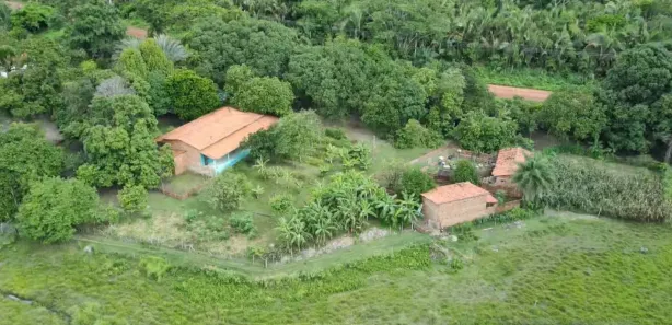 Fazenda / Sítio / Chácara com 4 Quartos à venda, 12000000m² no Centro, Altos