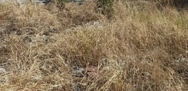 Terreno / Lote / Condomínio à venda, 360m² no Serra Dourada, Vespasiano