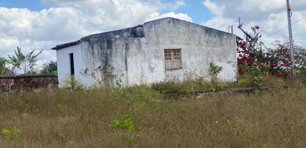 Fazenda / Sítio / Chácara com 3 Quartos à venda, 3100m² no , Passira