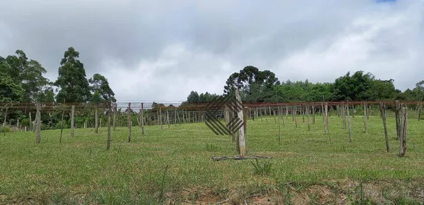 Fazenda / Sítio / Chácara com 3 Quartos à venda, 300m² no , Pilar do Sul