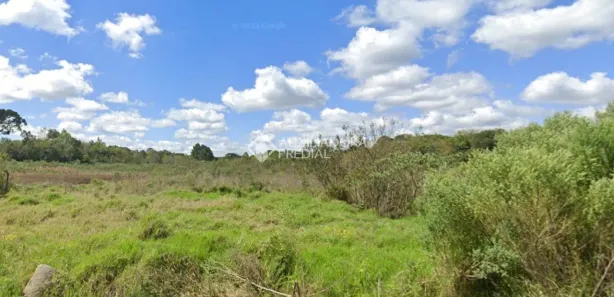 Terreno / Lote / Condomínio à venda, 2000m² no Balsa Nova, Balsa Nova