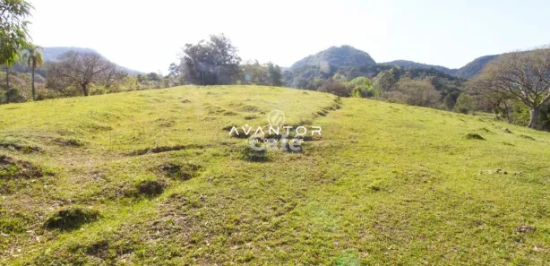 Fazenda / Sítio / Chácara à venda, 15000m² no Pé de Plátano, Santa Maria