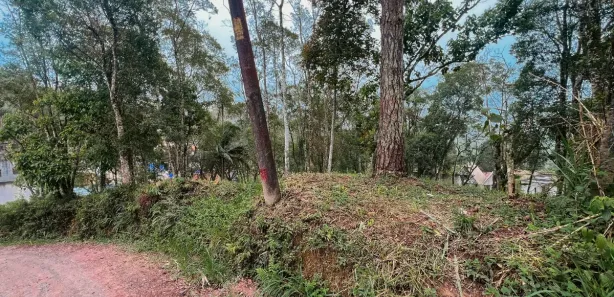 Terreno / Lote / Condomínio com 1 Quarto à venda, 2054m² no Parque do Governador, Rio Grande da Serra