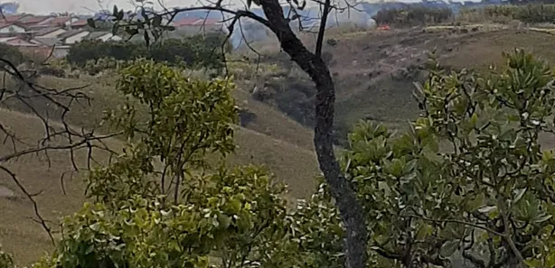 Fazenda / Sítio / Chácara à venda, 8010m² no Chácaras Quedas do Descoberto, Águas Lindas de Goiás