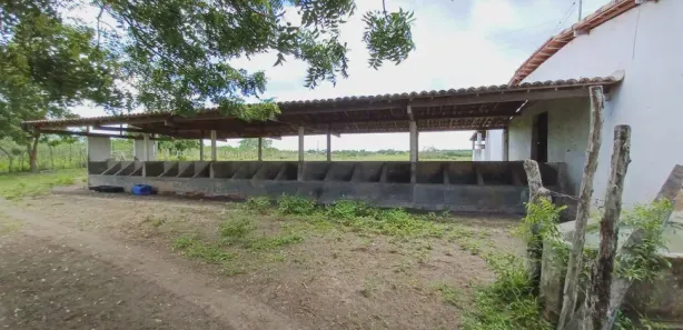 Fazenda / Sítio / Chácara com 3 Quartos à venda, 30000m² no Centro, Taipu