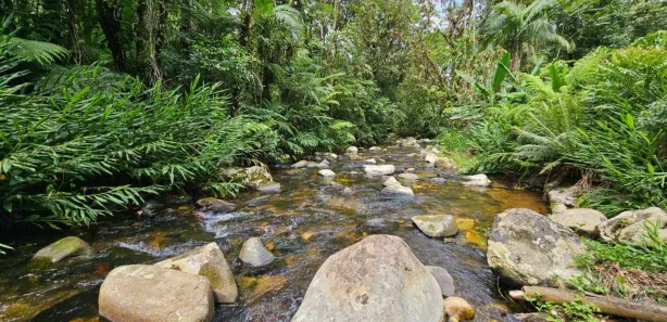 Fazenda / Sítio / Chácara à venda, 463710m² no Ponta da Pedra, Antonina