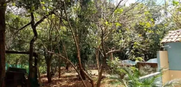 Fazenda / Sítio / Chácara à venda, 4500m² no , Brasília