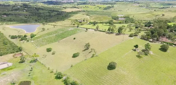 Fazenda / Sítio / Chácara com 3 Quartos à venda, 298000m² no , Sairé