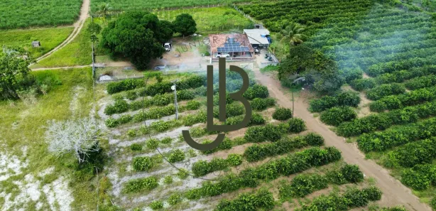 Fazenda / Sítio / Chácara com 2 Quartos à venda, 100m² no Centro, Alhandra