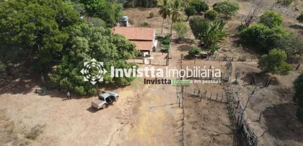 Fazenda / Sítio / Chácara à venda, 600m² no Centro, Lagoa da Confusão