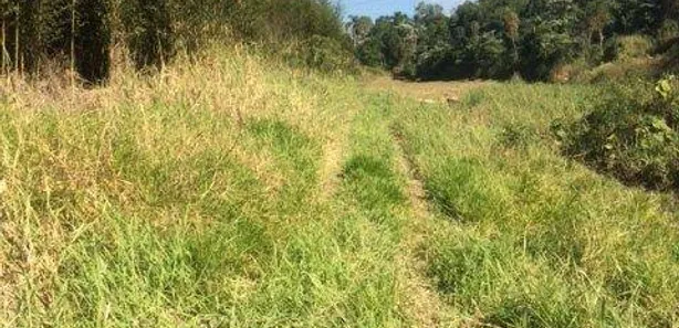 Terreno / Lote / Condomínio à venda, 1100000m² no da Lagoa, Itapecerica da Serra