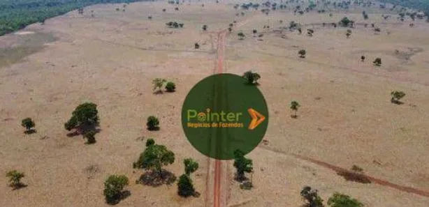 Fazenda / Sítio / Chácara à venda, 10009120m² no Vila Oeste, Paraíso do Tocantins
