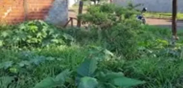 Terreno / Lote Comercial à venda, 476m² no , Goioerê