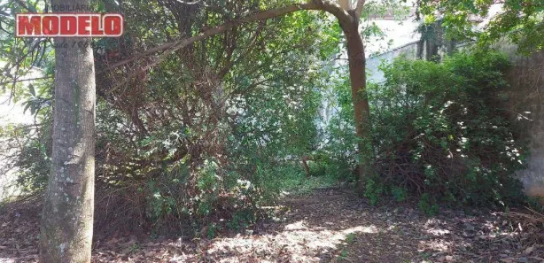 Terreno / Lote / Condomínio para alugar, 400m² no Vila Castelar, Limeira