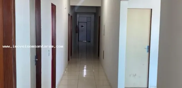 Conjunto Comercial / Sala com 1 Quarto para alugar, 30m² no Centro, Santarém