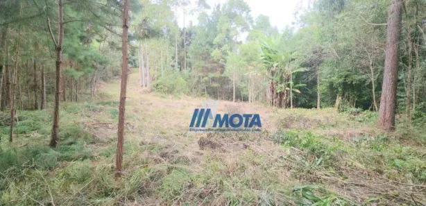Fazenda / Sítio / Chácara à venda, 186700m² no Área Rural de Campo Largo, Campo Largo