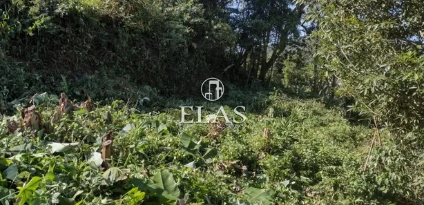 Terreno / Lote / Condomínio à venda, 1000m² no Independência, Petrópolis