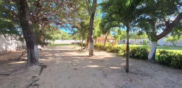 Fazenda / Sítio / Chácara com 5 Quartos para alugar, 540m² no Coaçu, Eusébio