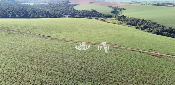 Fazenda / Sítio / Chácara à venda, 4065600m² no Cornélio Procópio, Cornélio Procópio