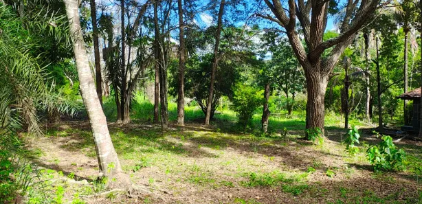 Fazenda / Sítio / Chácara à venda, 50000m² no Arapoanga, Brasília