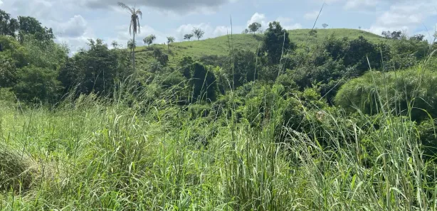 Fazenda / Sítio / Chácara com 1 Quarto à venda, 1873080m² no , Ponte Alta do Tocantins