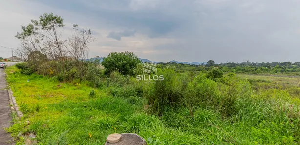 Terreno / Lote / Condomínio à venda, 5038m² no Loteamento Bosque Merhy, Quatro Barras