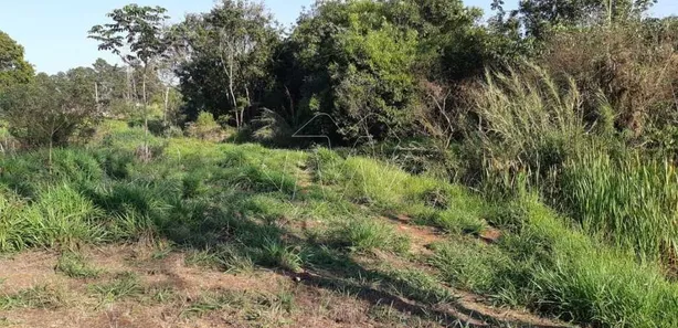 Fazenda / Sítio / Chácara à venda, 18150m² no Vila Xavier (Vila Xavier), Araraquara