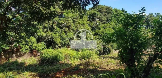 Loja / Salão / Ponto Comercial à venda, 1483m² no Centro, Sete Lagoas