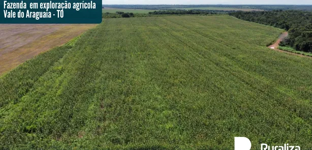 Fazenda / Sítio / Chácara à venda, 387m² no , Cristalândia