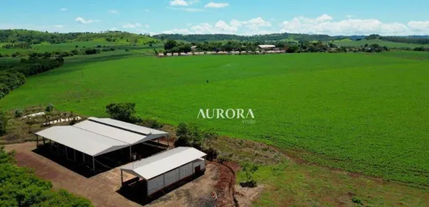 Fazenda / Sítio / Chácara à venda, 338800m² no , Leópolis